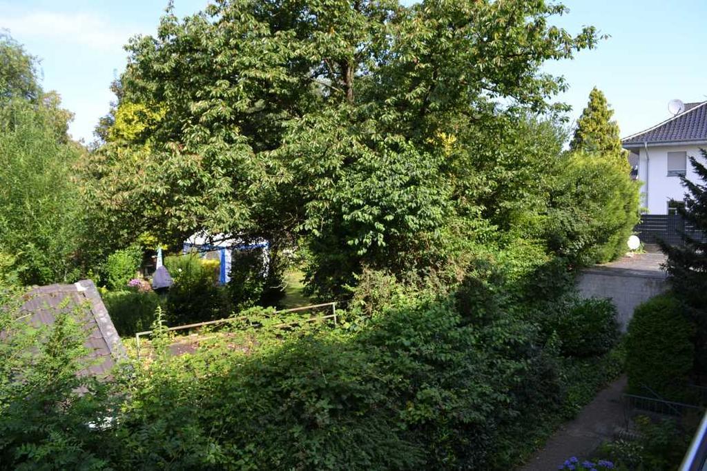 4 Sterne Ferienwohnungen Lavendel Brueggen Bagian luar foto